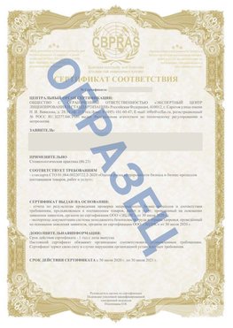 Образец Сертификат СТО 01.064.00220722.2-2020 Чегдомын Сертификат СТО 01.064.00220722.2-2020 