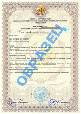 Приложение 1 Чегдомын Сертификат ГОСТ РВ 0015-002